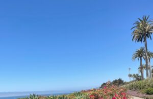 Waar te verblijven, eten en winkelen