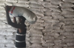 De financiering uit het Trump-tijdperk brengt de inspanningen om de boeren in Haïti te empoweren in gevaar | Voedselnieuws