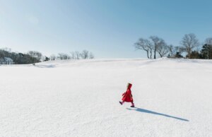Een zeer rustige winterchecklist