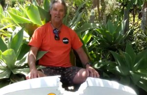 Australische windsurfer zegt dat haai ‘me sloeg als een goederentrein’, maar kan niet wachten om weer het water in te gaan