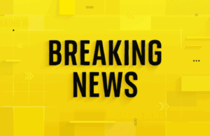 Ex-Franse president Nicolas Sarkozy wordt vrijgelaten uit de gevangenis, oordeelt de rechtbank van Parijs | Wereldnieuws