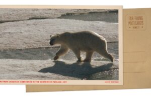 IJsbeer op ijs in de poolcirkel: NPR